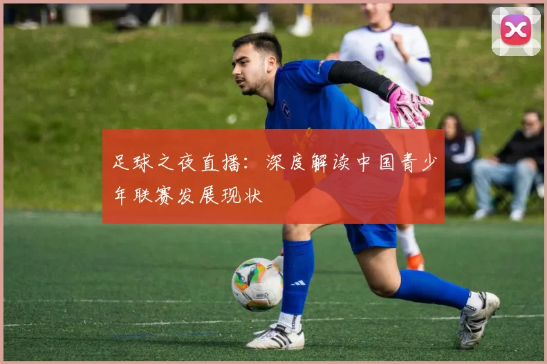 足球之夜直播：深度解读中国青少年联赛发展现状