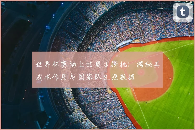 世界杯赛场上的奥古斯托：揭秘其战术作用与国家队生涯数据