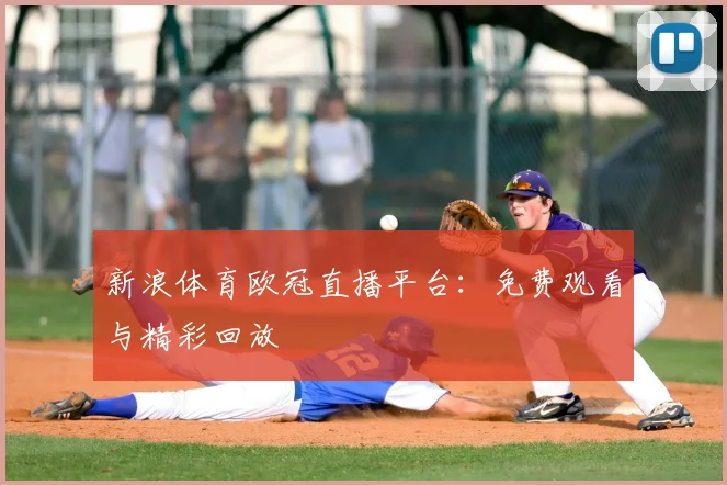 新浪体育欧冠直播平台:免费观看与精彩回放