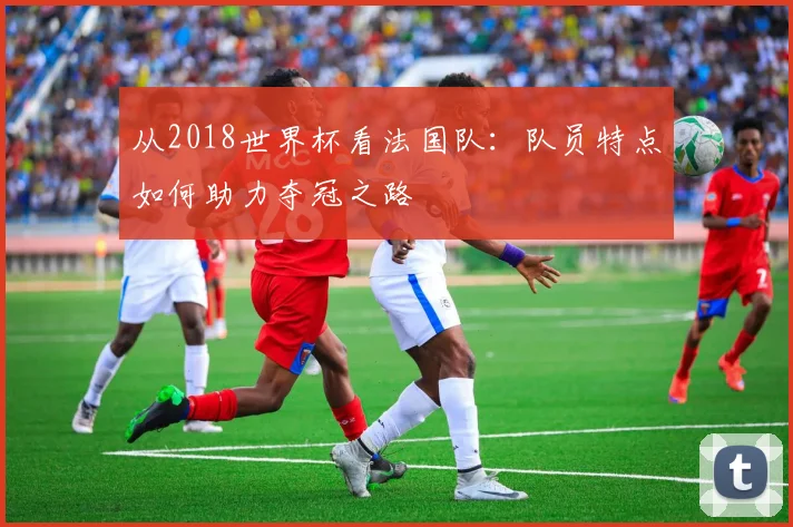 从2018世界杯看法国队：队员特点如何助力夺冠之路